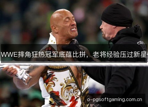 WWE摔角狂热冠军底蕴比拼,老将经验压过新星 WWE摔角狂热冠军底蕴比拼,老将经验压过新星