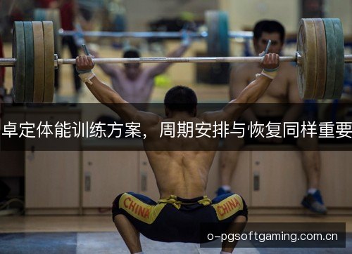 卓定体能训练方案，周期安排与恢复同样重要