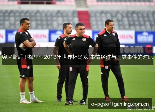 突尼斯后卫梅里亚2018年世界杯乌龙 事情经过与同类事件的对比 突尼斯后卫梅里亚2018年世界杯乌龙 事情经过与同类事件的对比