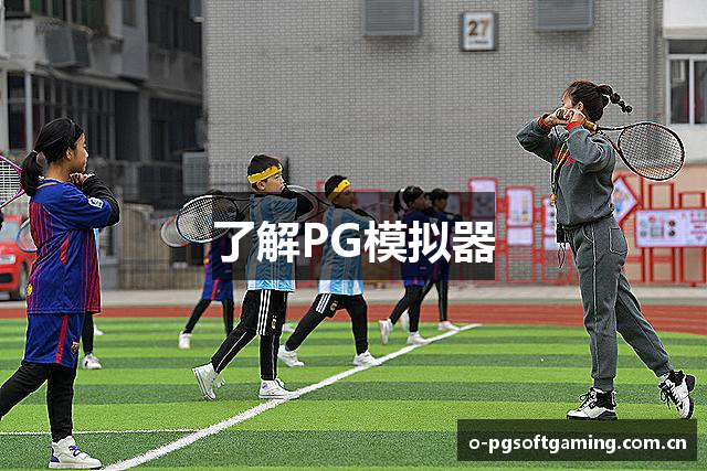 了解PG模拟器